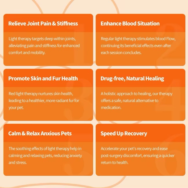 Vitalith Body Wrap - Red & Infrared Light Therapy