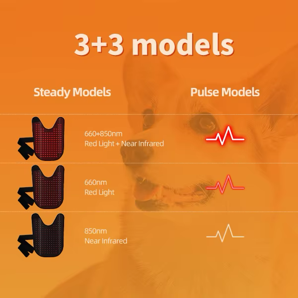 Vitalith Full Body Vest - Red & Infrared Light Therapy