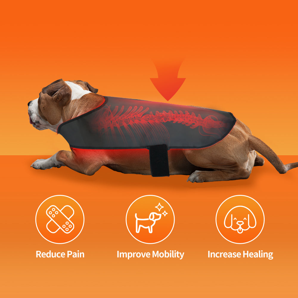 Vitalith Full Body Vest - Red & Infrared Light Therapy