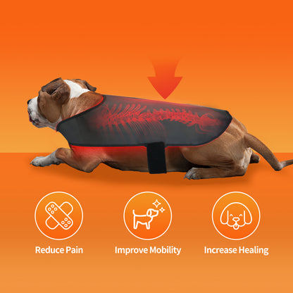 Vitalith Full Body Vest - Red & Infrared Light Therapy