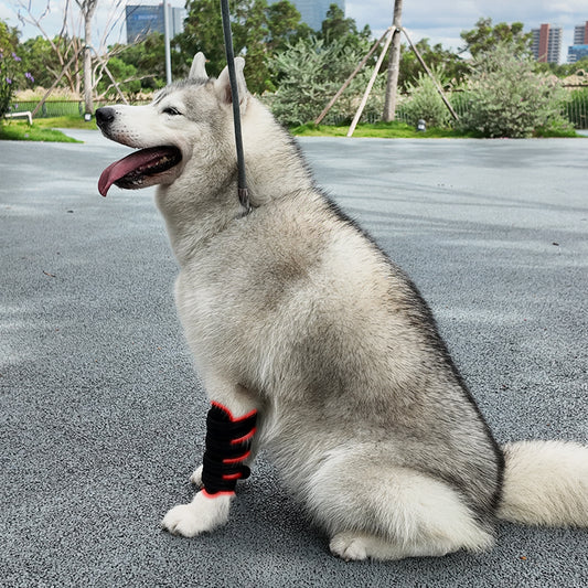 Vitalith Leg Wrap - Red & Infrared Light Therapy